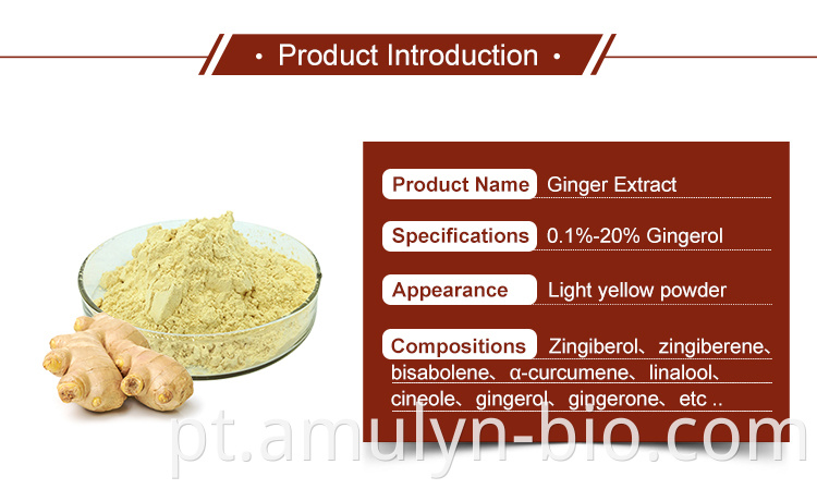 Ginger extract amulyn